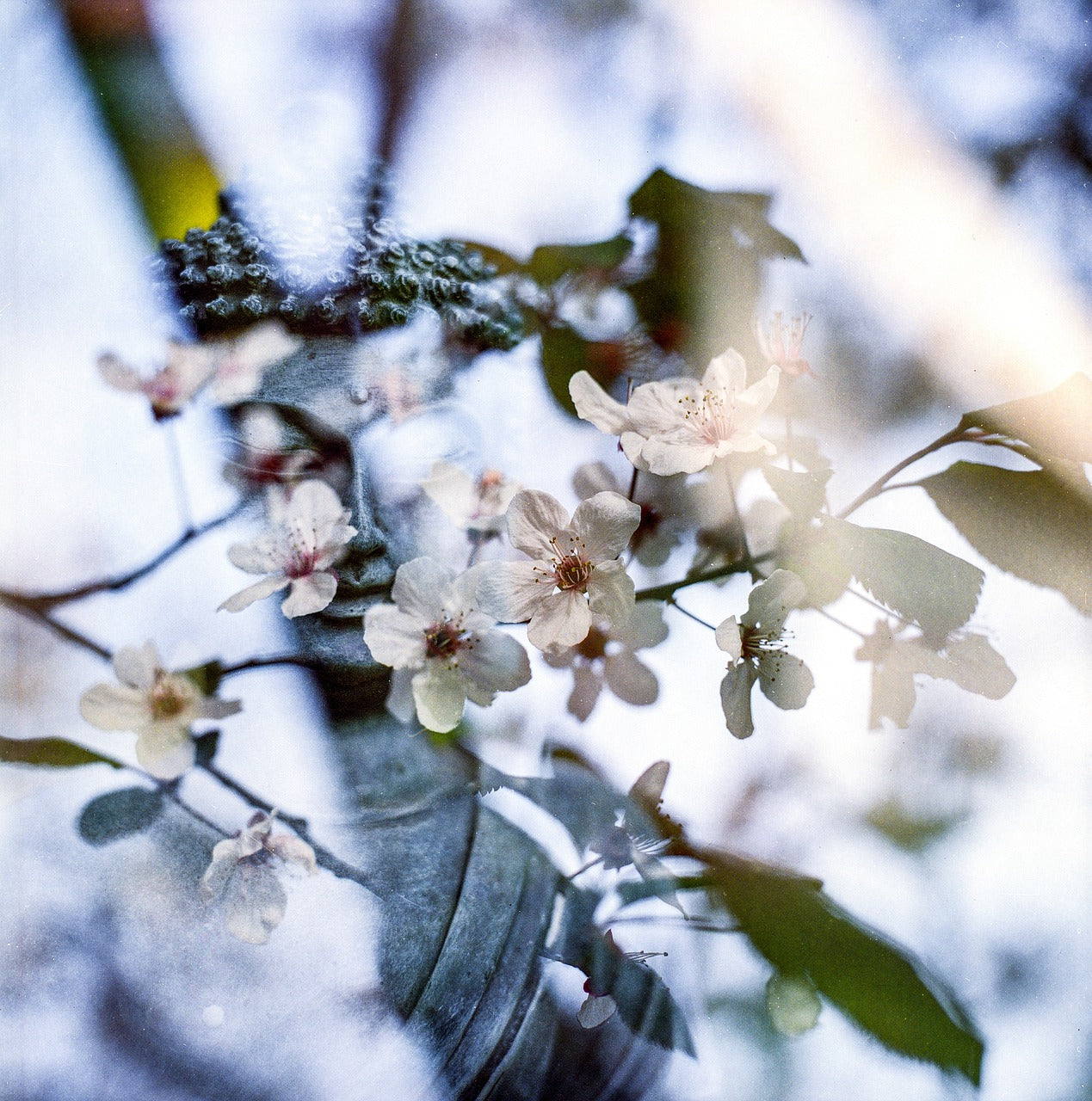 Guided Meditation with Aromatherapy Oils selected by your Guardian Angels, surrounded by Himalayan Salts and Crystals Healing